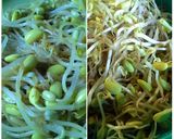Foto langkah ke 2 dari resep Bibimbap 비빔밥.