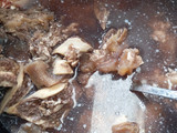 Sop Tulang Kerbau