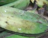 Foto langkah ke 1 dari resep Keripik Pisang Kepok Original.
