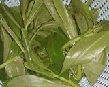 Foto langkah ke 4 dari resep Tumis daun gingseng.