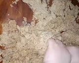 صورة لخطوة 2 من وصفة طمينة الغرس أو الكعبوش الجزائري من ام اسيل