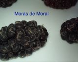 Foto del paso 2 de la receta: Quesillo con moras