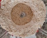 Foto del paso 1 de la receta: Galletitas de avena y algarroba
