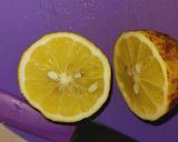 Foto langkah ke 2 dari resep Jus Apel Lemon Madu.
