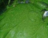 Foto langkah ke 5 dari resep Legit kukus Pandan Coklat.