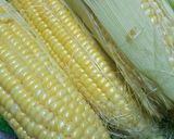Gambar langkah 1 resipi Sweet Corn Cheese.