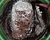 Foto langkah ke 4 dari resep Baked Brownie.