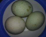 Foto langkah ke 1 dari resep Martabak Cabbage Telur Bebek.