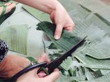 Bánh bột lọc lá