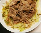 A picture of step 11 of Jingisukan on an Electric Griddle!.
