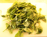 Foto del paso 8 de la receta: Almuerzo; Primavera borialis