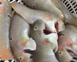 Hình bước làm 1 của món Cá mó chiên giòn