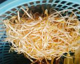 Hình bước làm 2 của món Gỏi cuốn tôm thịt