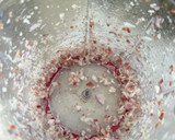 Foto del paso 4 de la receta: Tartar de fuet