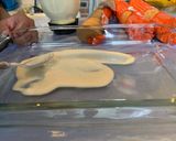 Foto del paso 4 de la receta: Carlota de limón (fácil, 4 ingredientes)