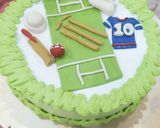 A picture of step 16 of Cricket 🏏 theme cake.