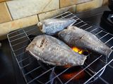 Gỏi cóc khô sặt