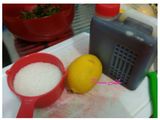 selai strawberry homemade