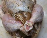Foto langkah ke 3 dari resep Roasted Chicken.