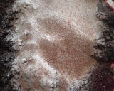 Foto del paso 3 de la receta: Arrollado de hojas de remolacha (esta versión, con atún)