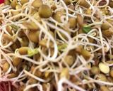 Foto del paso 5 de la receta: Haz tu propio germinado de lenteja 😋