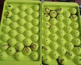 Foto langkah ke 3 dari resep Es choco jelly ball.