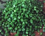 Foto langkah ke 3 dari resep Pencok Kacang Panjang.