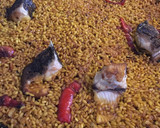 Foto del paso 4 de la receta: Arroz con morena