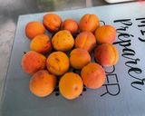 Une image de l'étape 10 de Tarte aux abricots, miel et crème vanille.
