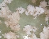 รูปขั้นตอนการทำที่ 2 ของ ข้าวต้มไก่บด | 泰式鸡碎粥