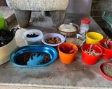 Foto del paso 1 de la receta: Mole chichilo