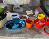Foto del paso 1 de la receta: Mole chichilo