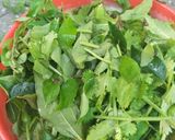 A picture of step 1 of Spicy Mint Chutney.