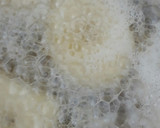 Foto del paso 4 de la receta: Torta Frita