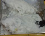 Foto langkah ke 2 dari resep ikan panggang garam.