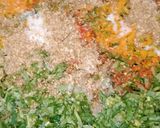 A picture of step 1 of Aloo methi matar gajar ki sabji.