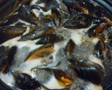 Foto del paso 3 de la receta: Empanada de mejillones y chorizo