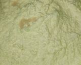 A picture of step 2 of Sattu Paratha.