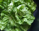 Une image de l'étape 2 de Salades 🥗 fraîcheurs Macédoine thon 😋 #mai.