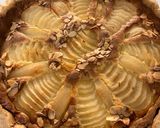 Une image de l'étape 8 de Tarte poire Amandine 🍐.