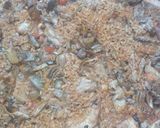 Foto del paso 10 de la receta: Arroz campestre