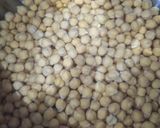 Foto del paso 1 de la receta Garbanzos guisados en cúrcuma con shiitake y gambones