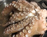 Foto del paso 1 de la receta: Pulpo con patatas