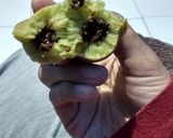 Foto langkah ke 8 dari resep Martabak Mungil.