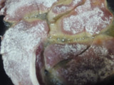 Carne en salsa expréss 
