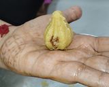 A picture of step 7 of Roasted chana Modak.
