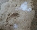Foto del paso 2 de la receta: Pan de espelta y harina de kamut