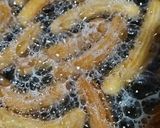 Foto langkah ke 4 dari resep Churros.