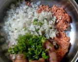 A picture of step 3 of Chinese meatballs.