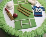 A picture of step 16 of Cricket 🏏 theme cake.